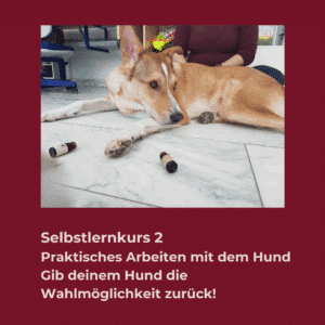 Selbstlernkurs 2