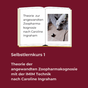 Selbstlernkurs 1
