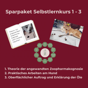 Selbstlernkurs 1-3 Sparpaket
