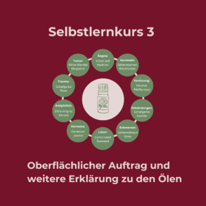 Selbstlernkurs 3