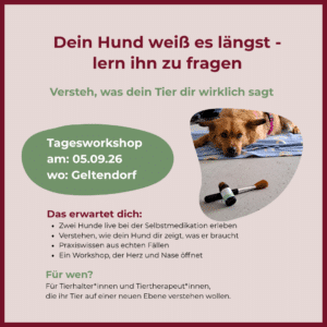 Tagesworkshop (mit Hund)