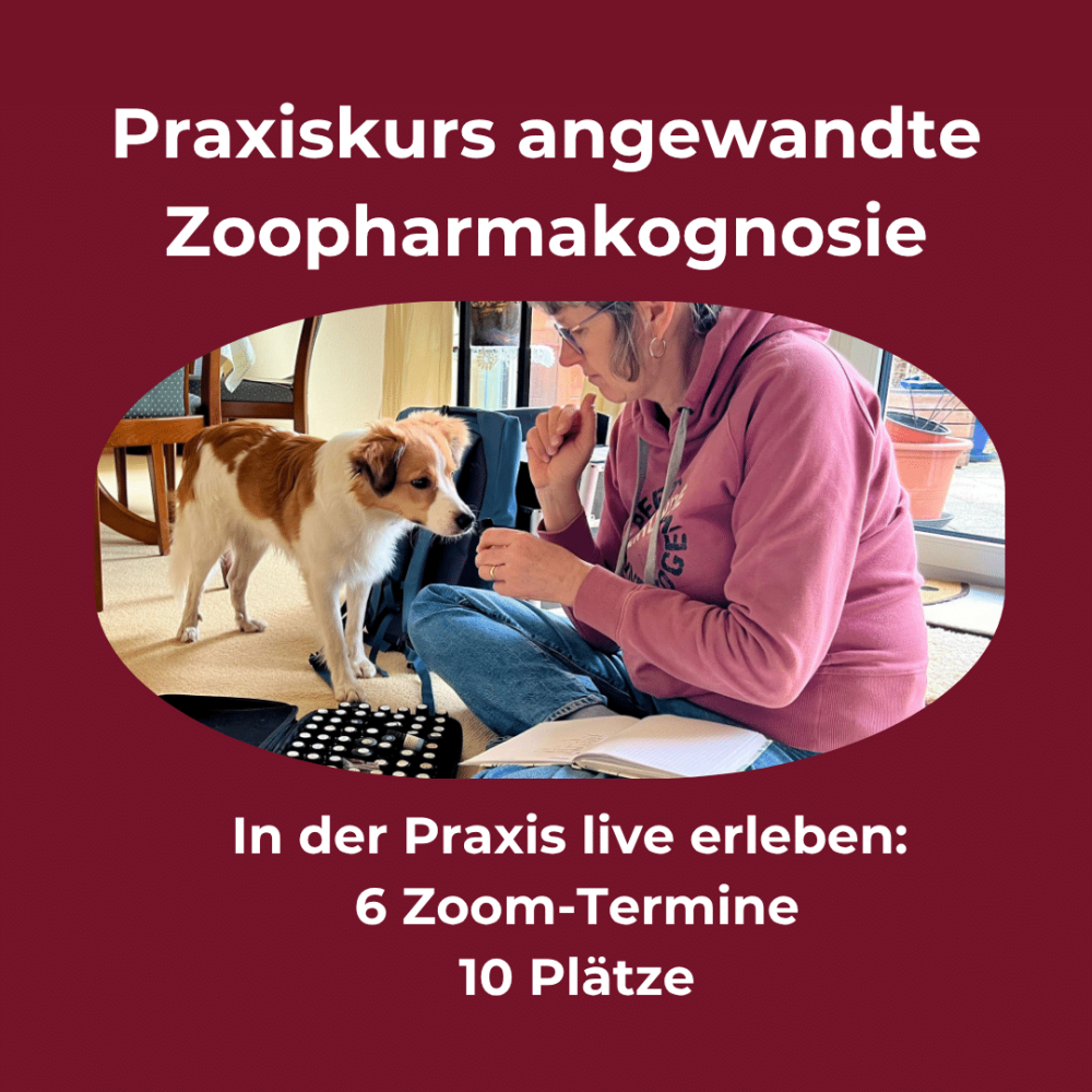 Praxiskurs_Zoopharmakognosie