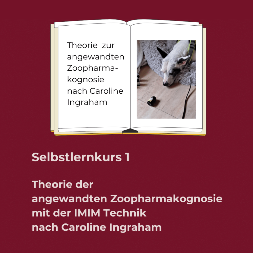 Webinar 1 (1)