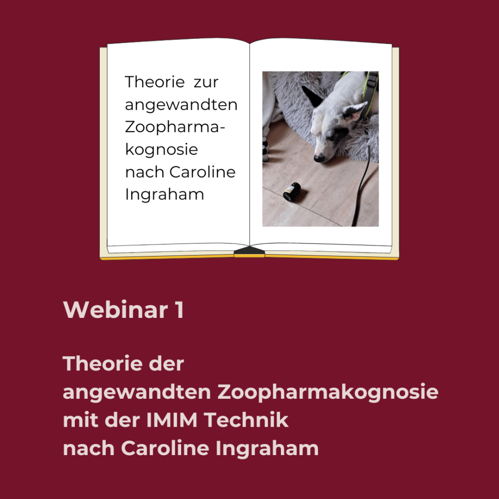 Webinar 1(1)